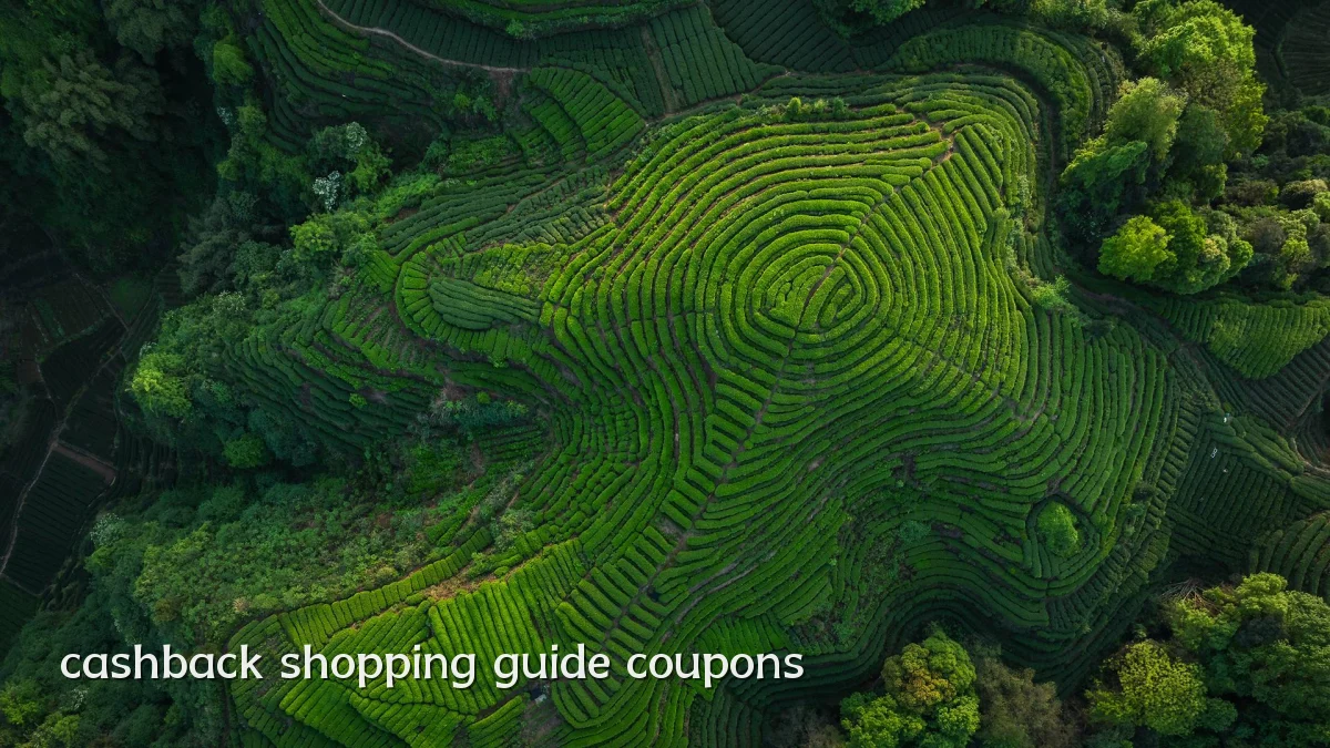 cashback shopping guide coupons