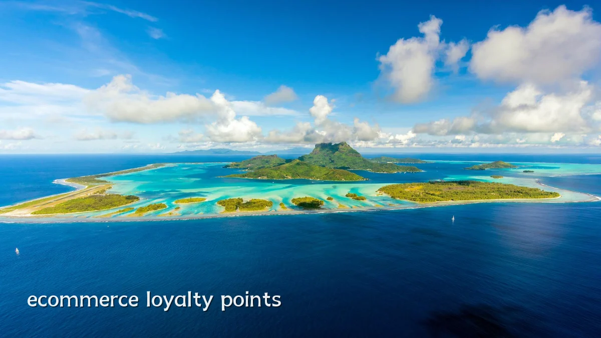 ecommerce loyalty points