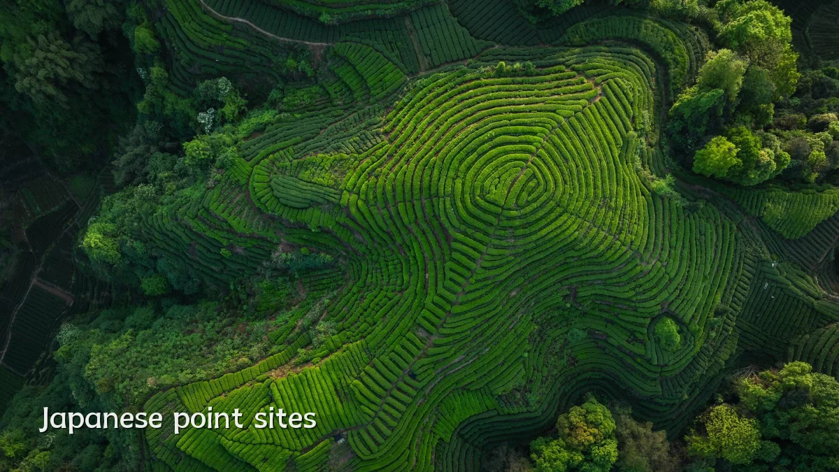 Japanese point sites