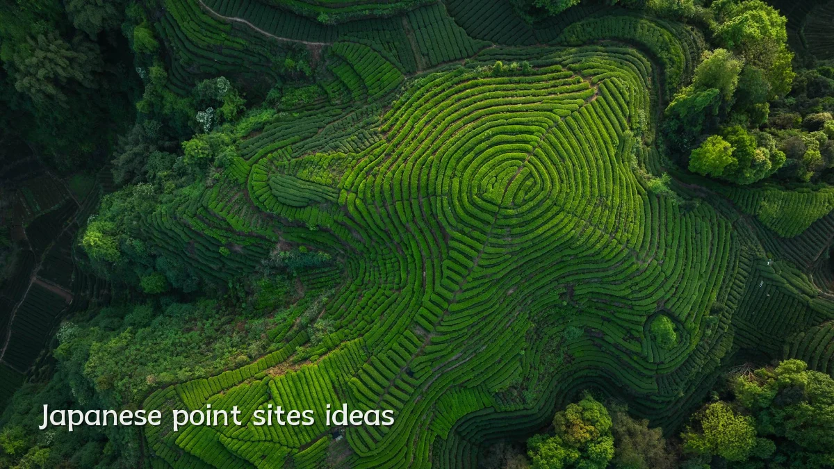 Japanese point sites ideas