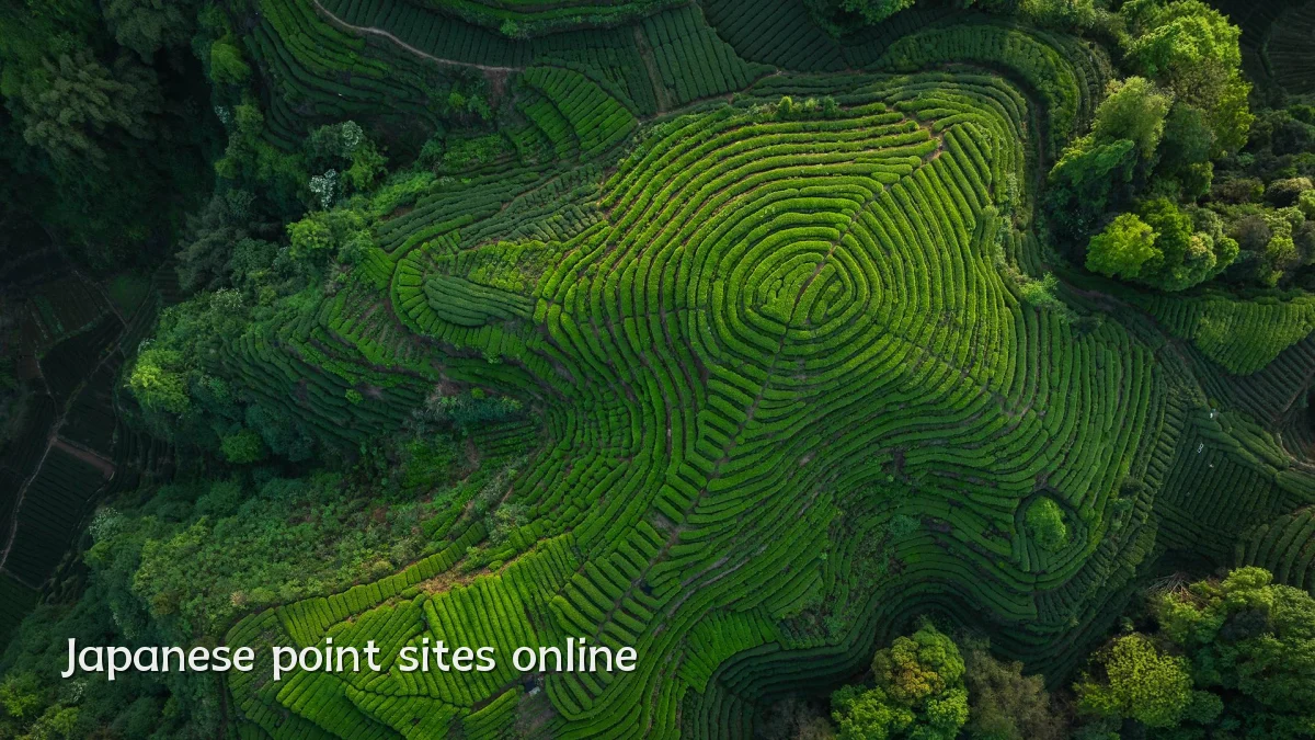 Japanese point sites online
