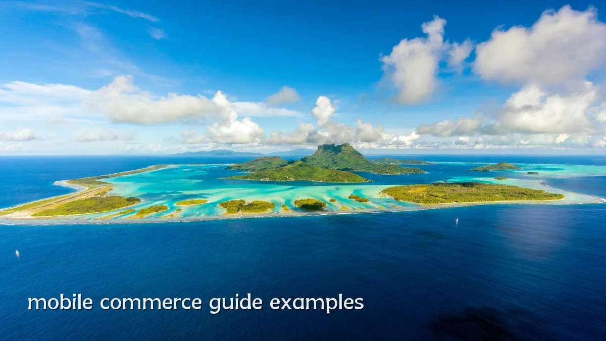 mobile commerce guide examples