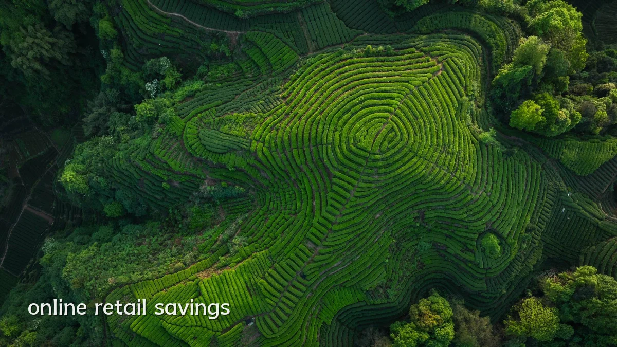 online retail savings