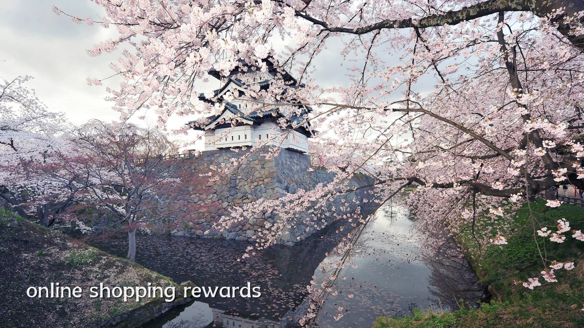 online shopping rewards