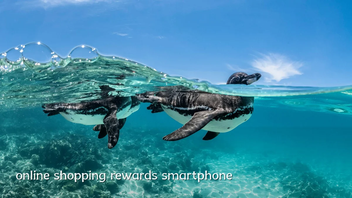 online shopping rewards smartphone