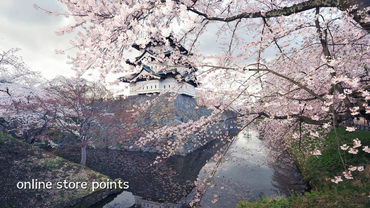 online store points