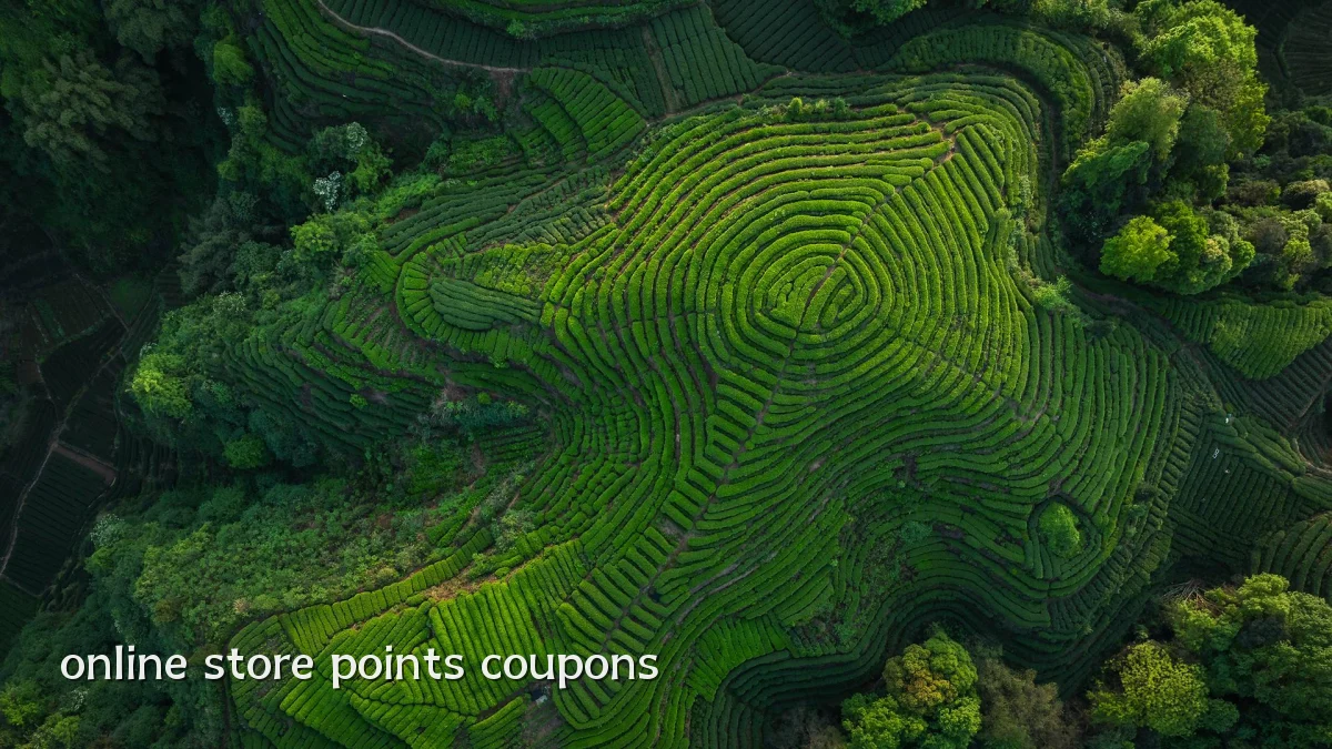 online store points coupons
