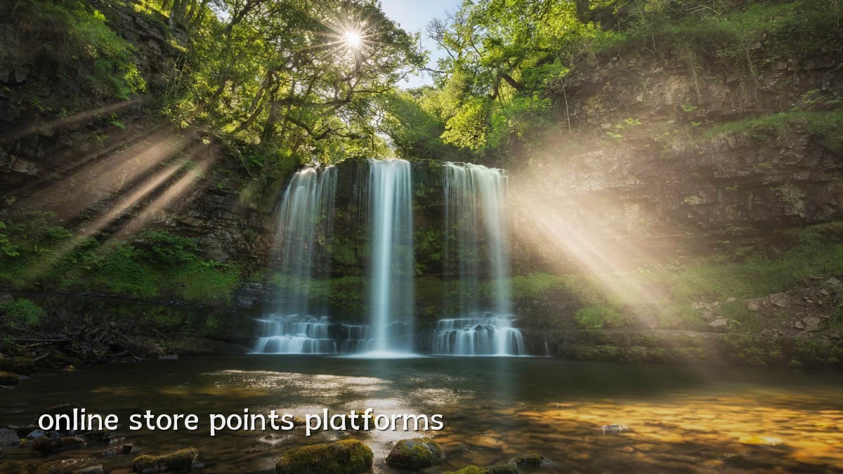 online store points platforms