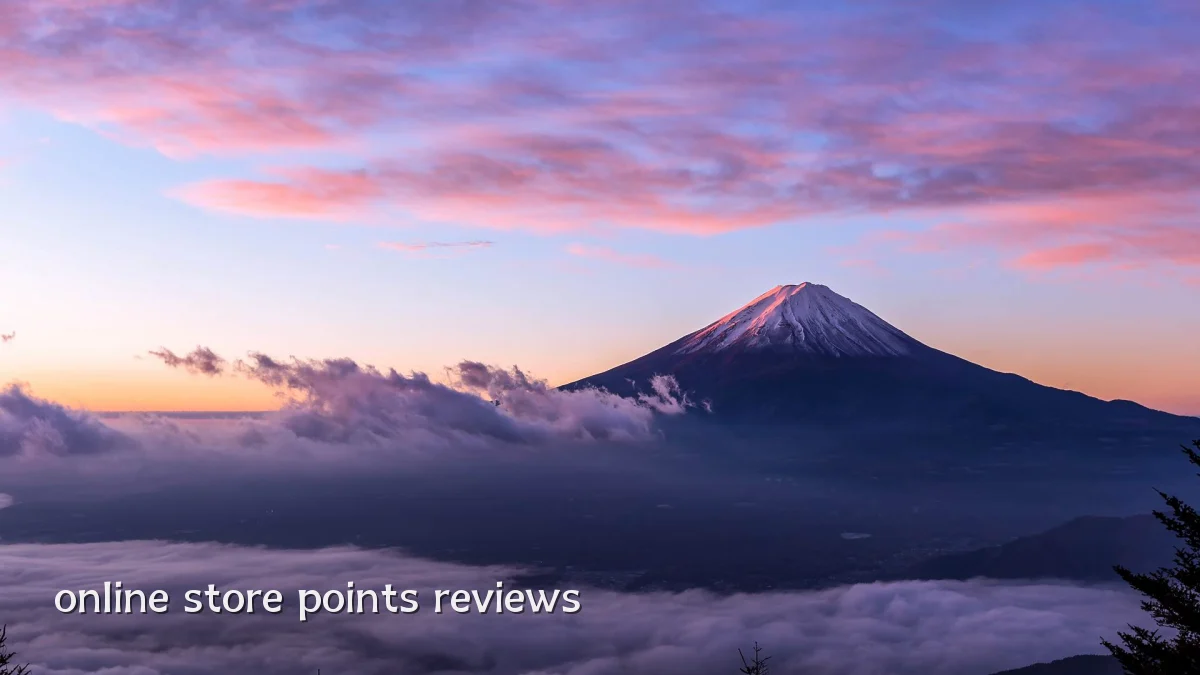 online store points reviews