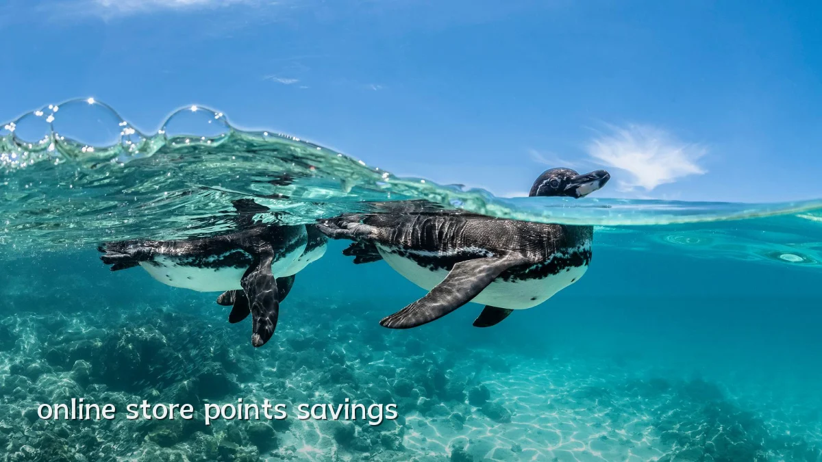 online store points savings