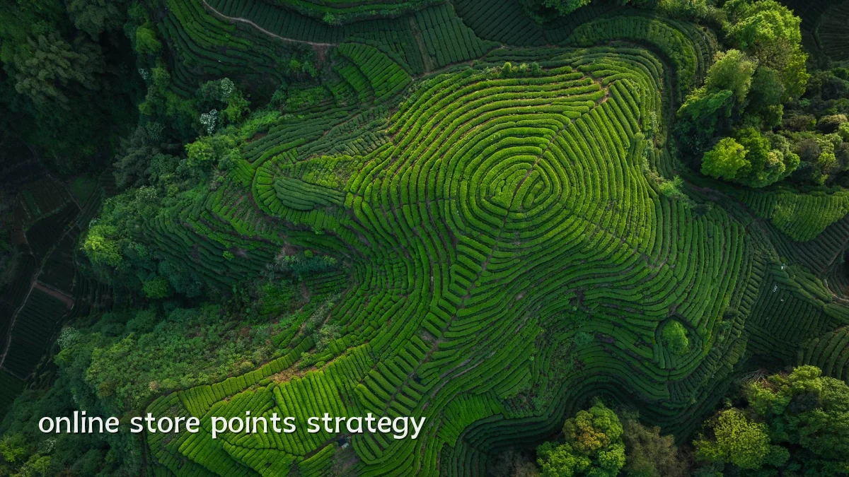 online store points strategy