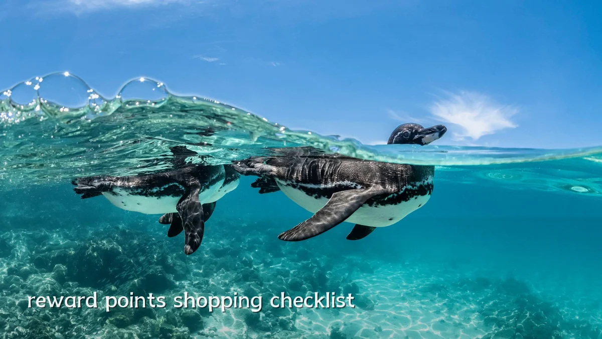 reward points shopping checklist