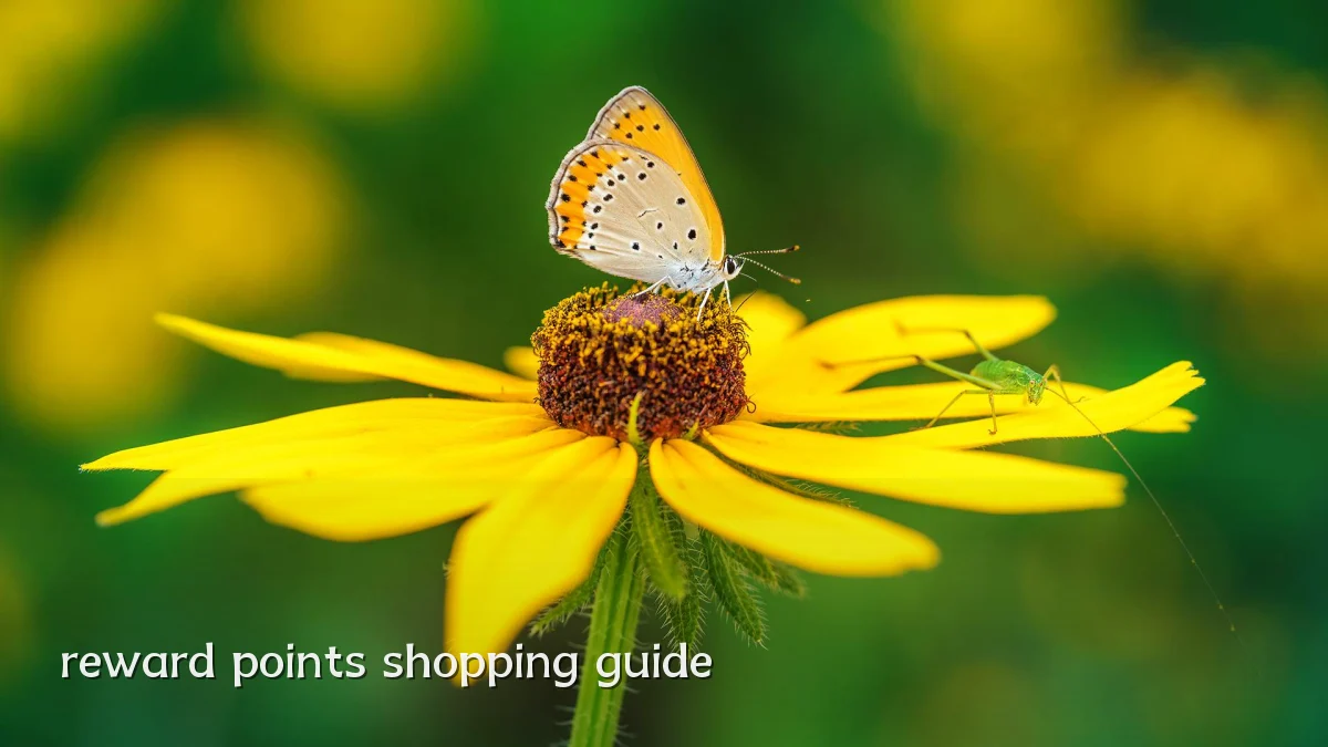 reward points shopping guide