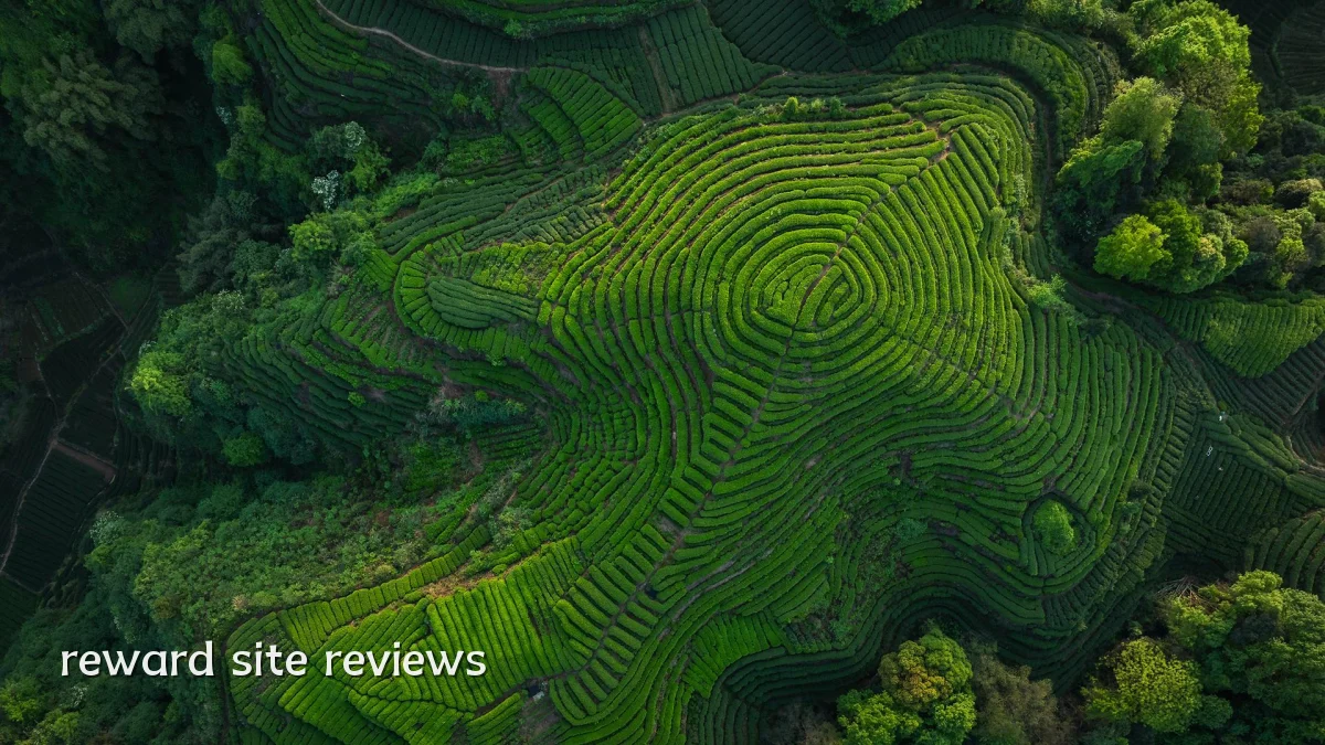 reward site reviews