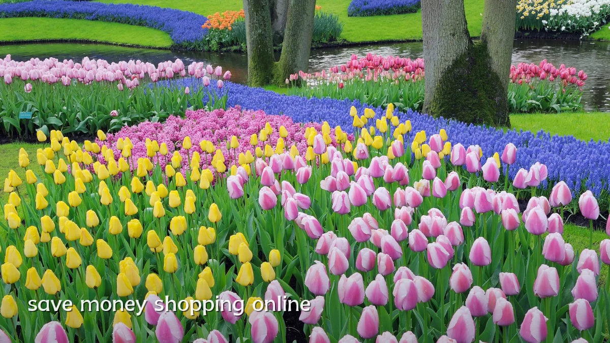 save money shopping online