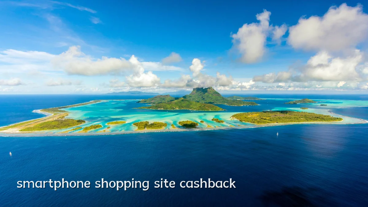 smartphone shopping site cashback