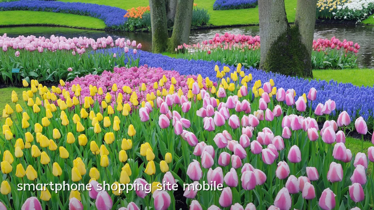 smartphone shopping site mobile