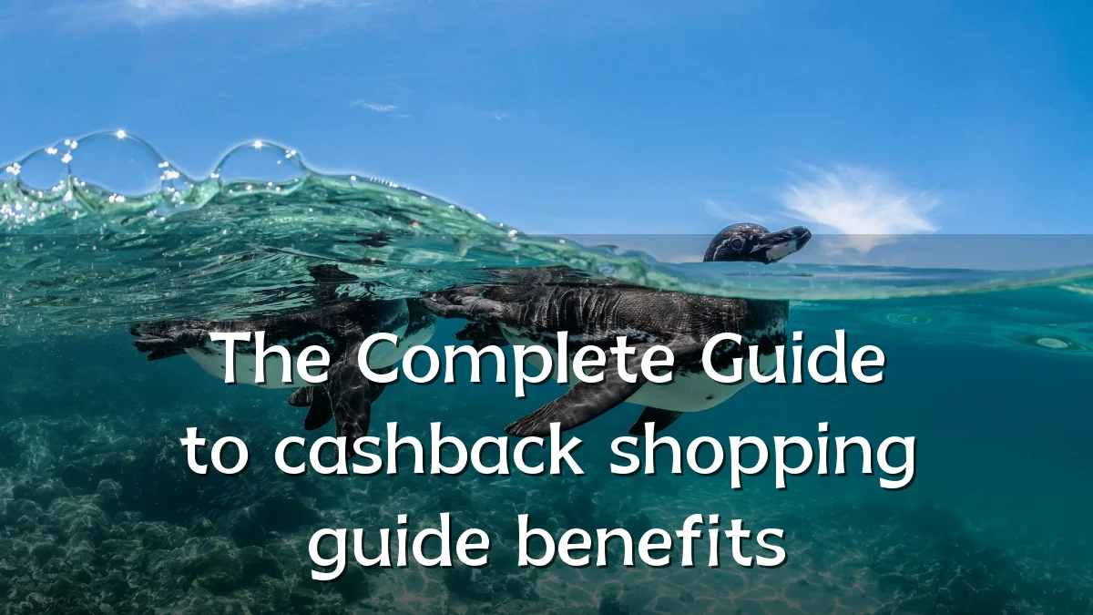 The Complete Guide to cashback shopping guide benefits