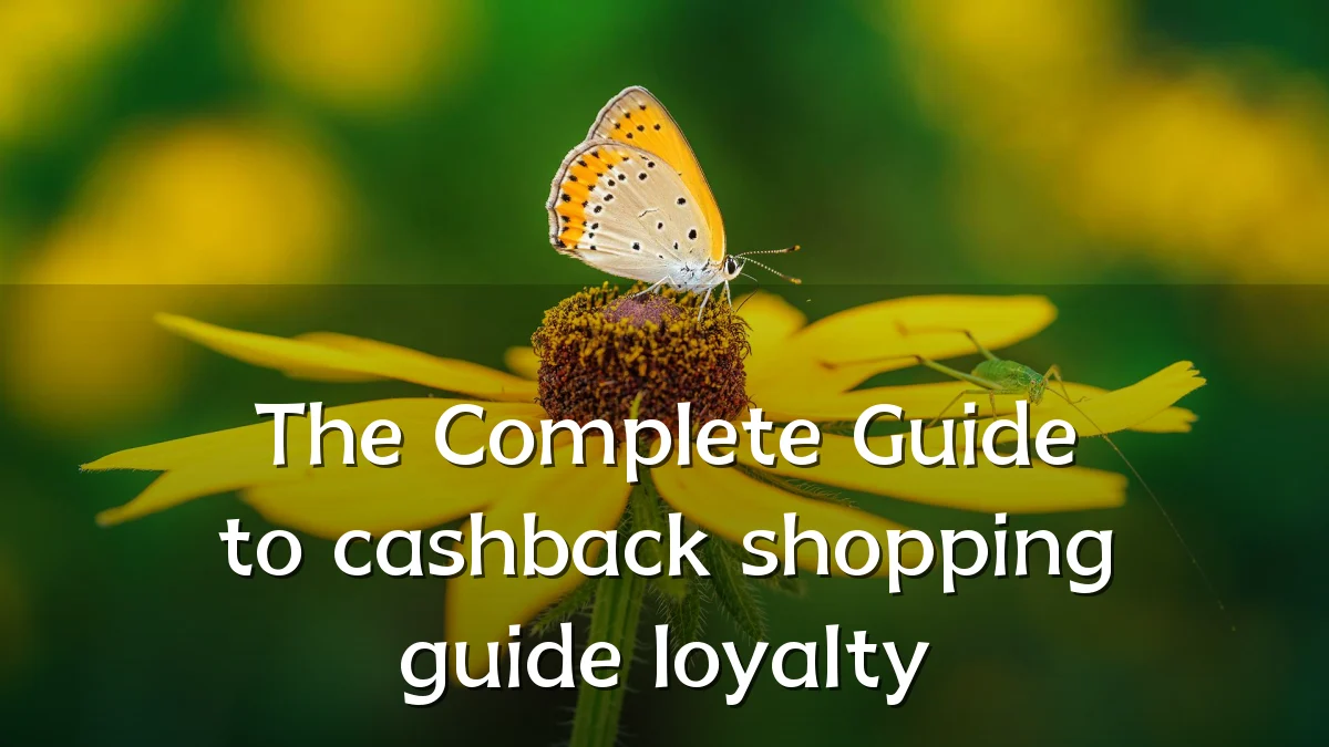 The Complete Guide to cashback shopping guide loyalty