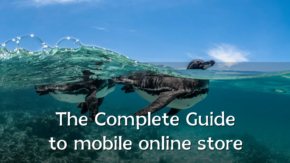 The Complete Guide to mobile online store
