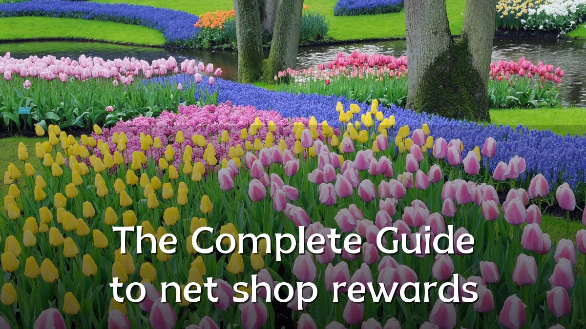 The Complete Guide to net shop rewards
