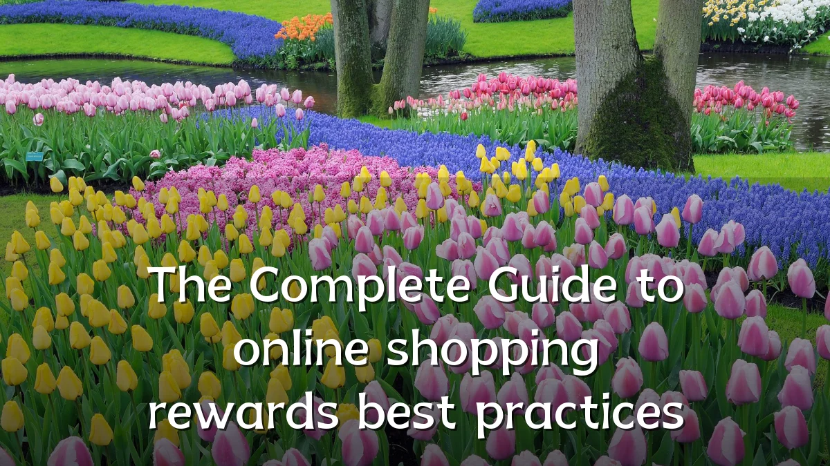 The Complete Guide to online shopping rewards best practices