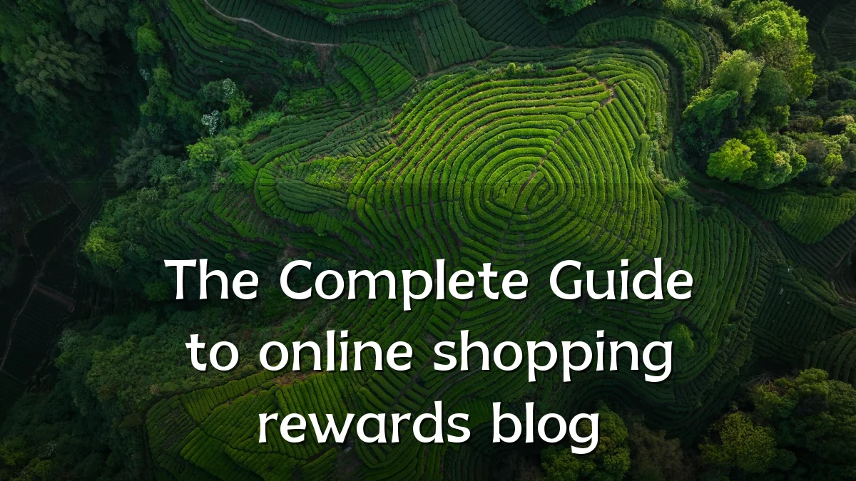 The Complete Guide to online shopping rewards blog