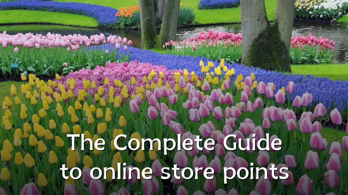 The Complete Guide to online store points