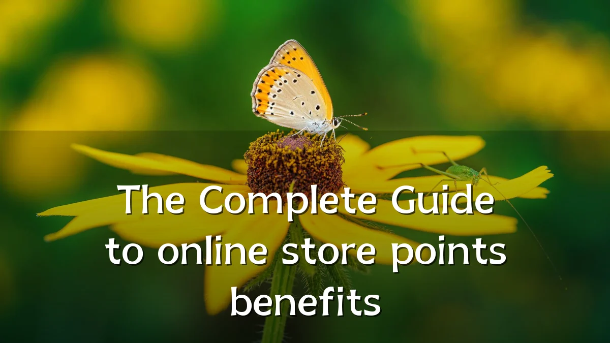 The Complete Guide to online store points benefits