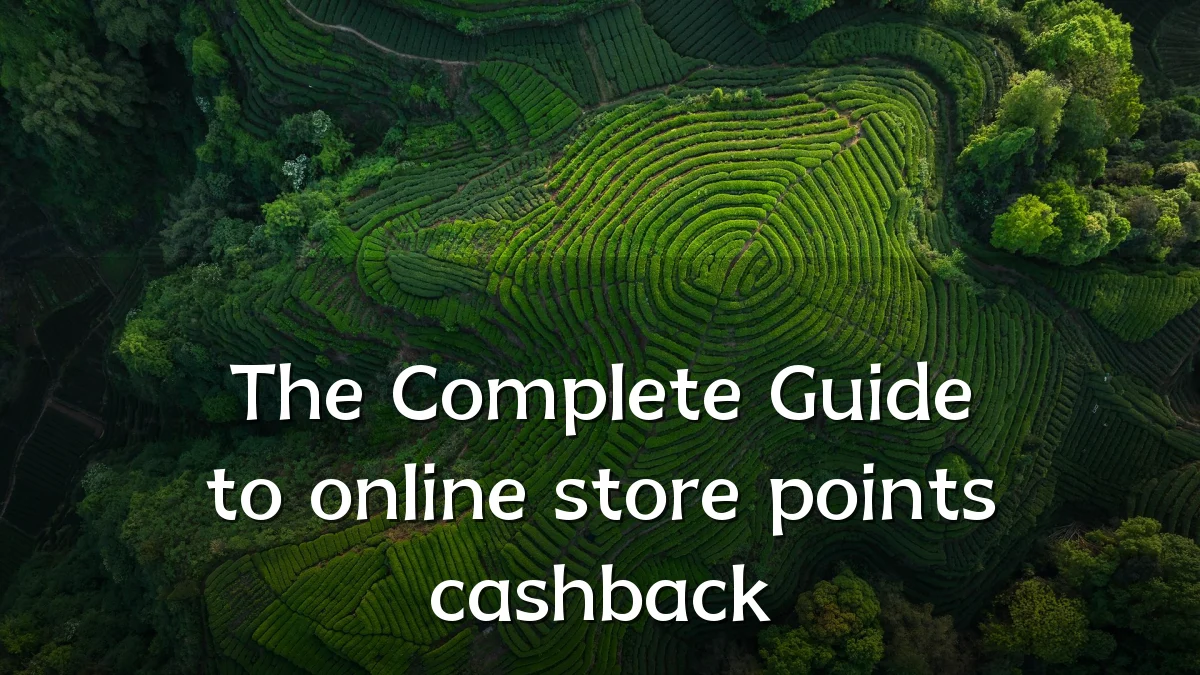 The Complete Guide to online store points cashback