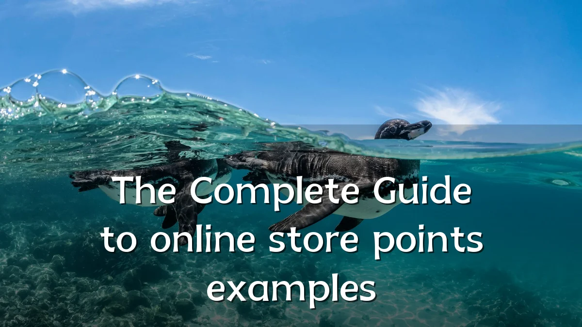 The Complete Guide to online store points examples