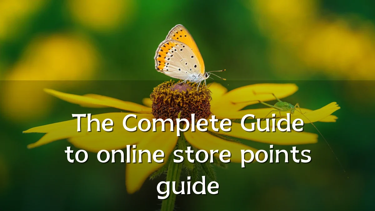 The Complete Guide to online store points guide