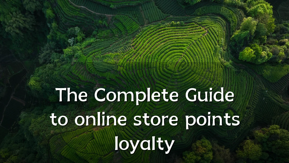 The Complete Guide to online store points loyalty