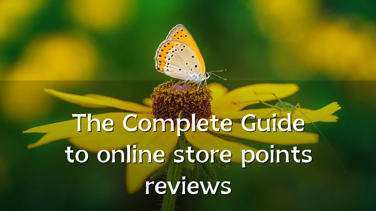 The Complete Guide to online store points reviews