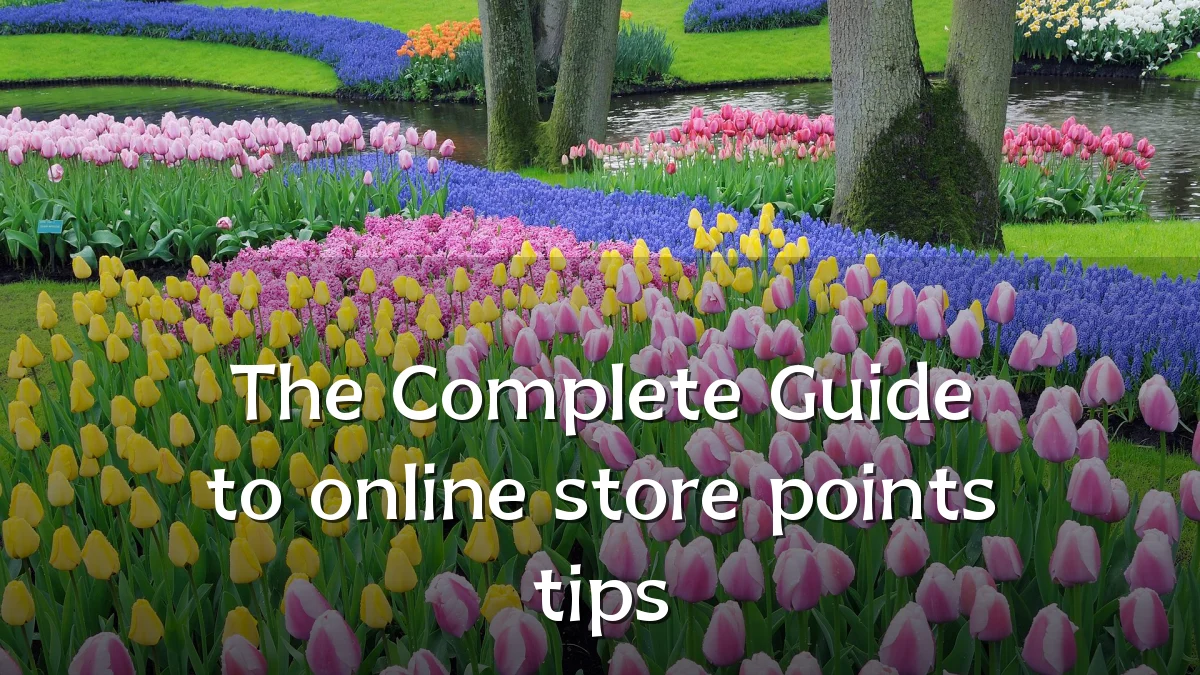 The Complete Guide to online store points tips
