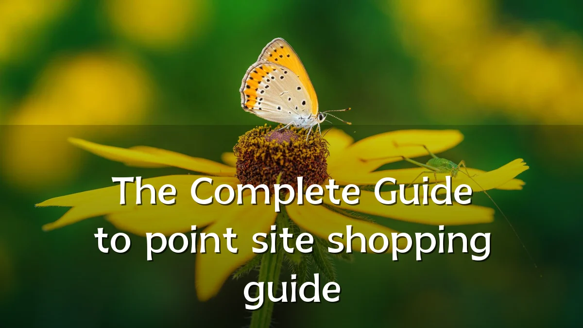 The Complete Guide to point site shopping guide