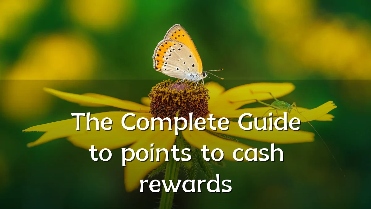 The Complete Guide to points to cash rewards