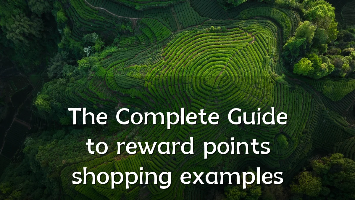 The Complete Guide to reward points shopping examples