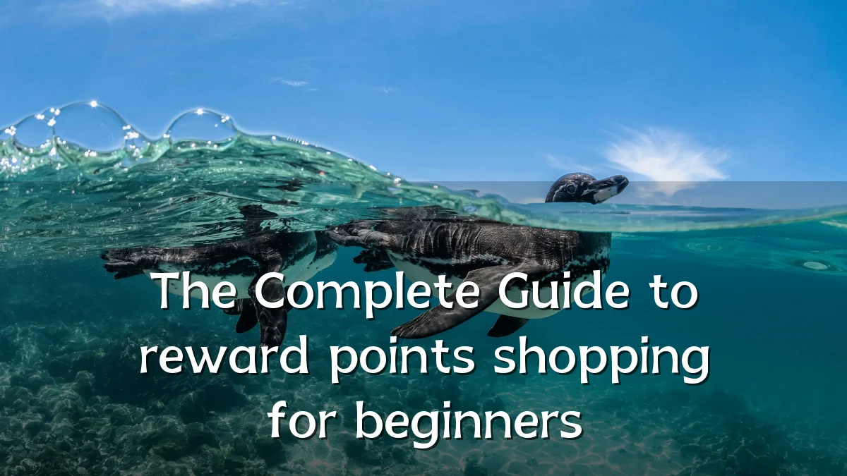 The Complete Guide to reward points shopping for beginners