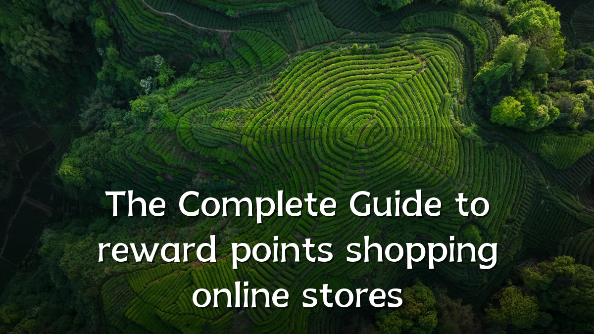 The Complete Guide to reward points shopping online stores