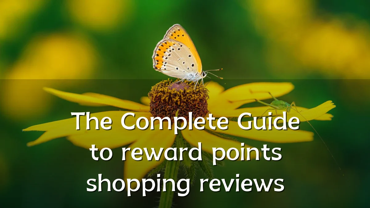 The Complete Guide to reward points shopping reviews