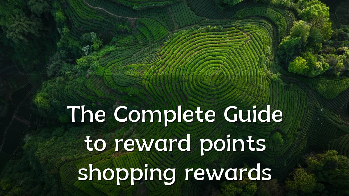 The Complete Guide to reward points shopping rewards