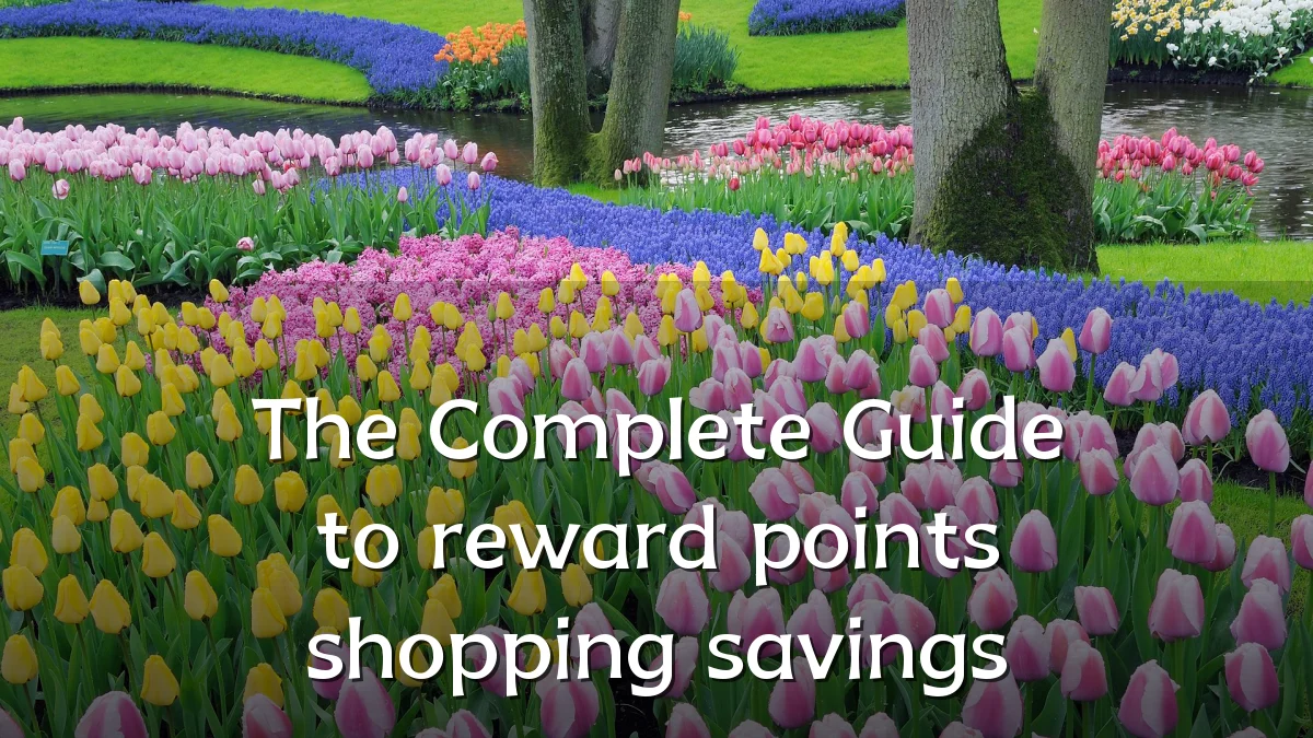 The Complete Guide to reward points shopping savings