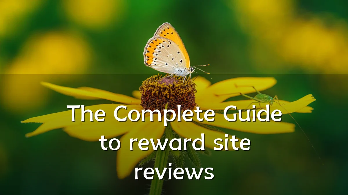 The Complete Guide to reward site reviews