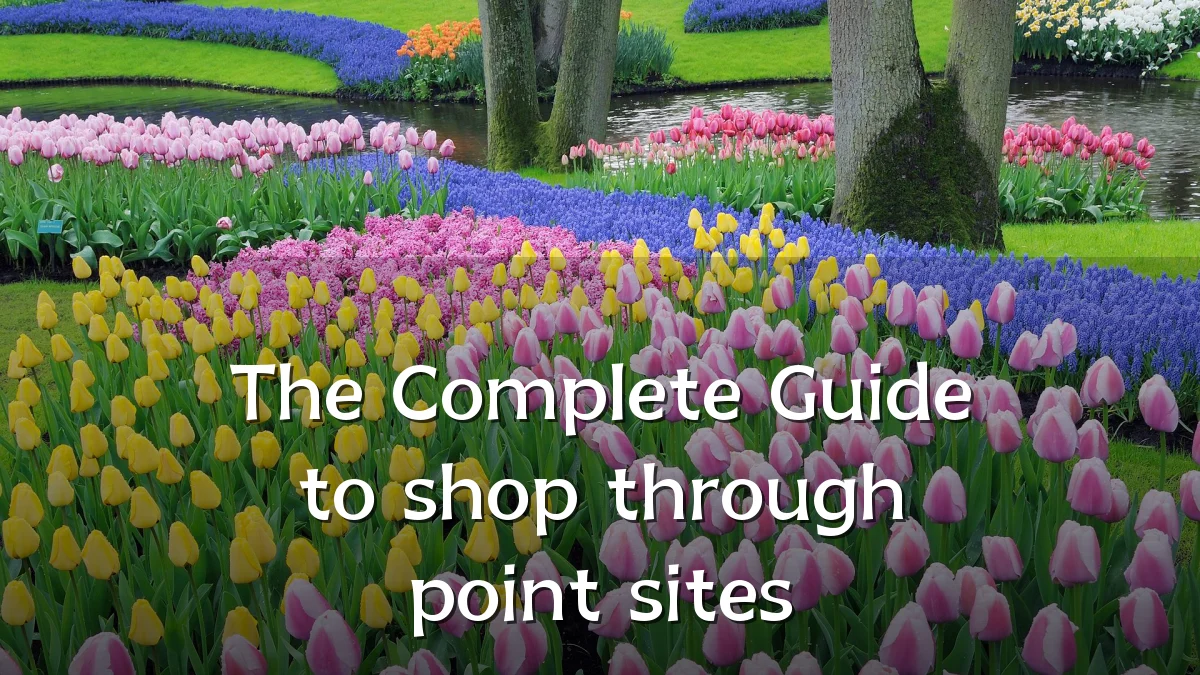 The Complete Guide to shop through point sites