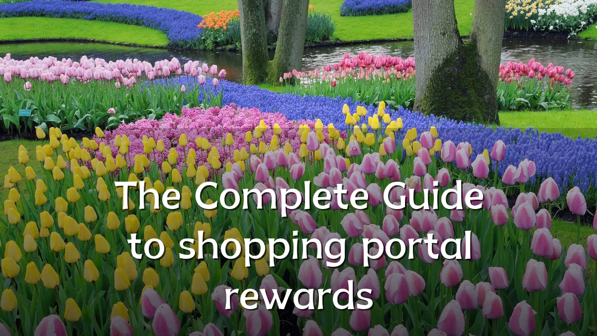 The Complete Guide to shopping portal rewards