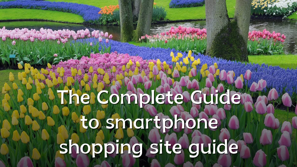 The Complete Guide to smartphone shopping site guide