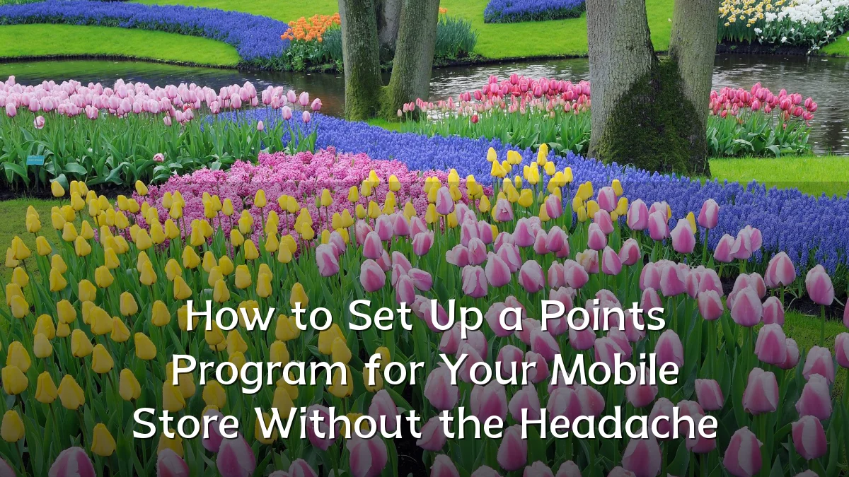 How to Set Up a Points Program for Your Mobile Store Without the Headache